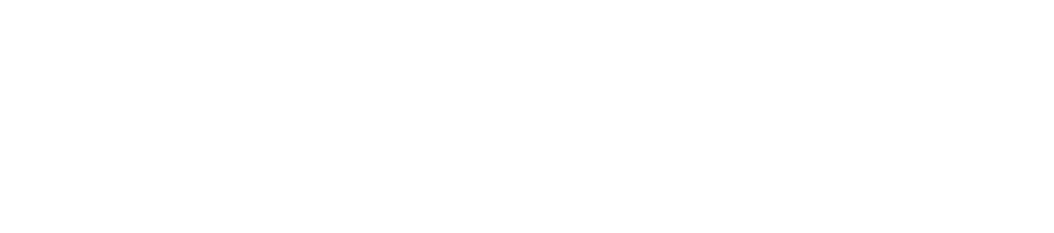 Carry Permit Experts
